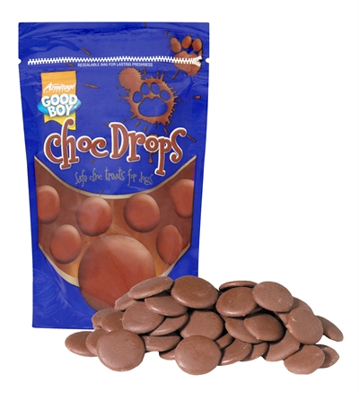 Is chocolade giftig voor honden?