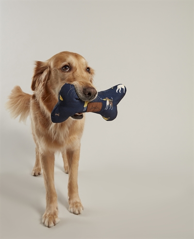 Het wordt weer warm, hoe hou je je hond koel