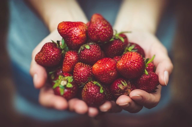 Mogen honden aardbeien eten