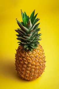 mag een hond ananas eten