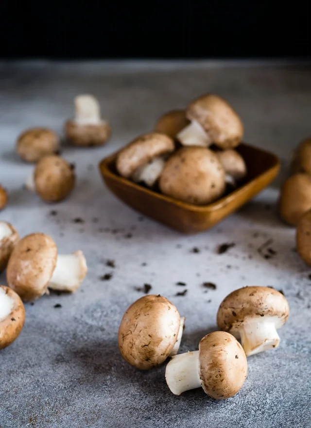 Mag een hond champignons eten?